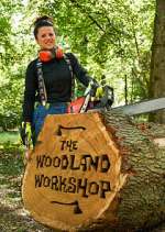 Watch The Woodland Workshop 123movies