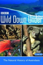 Watch Wild Down Under 123movies