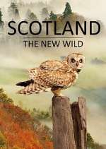 Watch Scotland - The New Wild 123movies