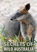 Watch Secrets of Wild Australia 123movies