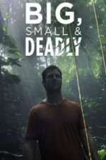 Watch Big, Small & Deadly 123movies
