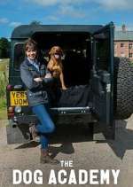 Watch Bad Dog Academy 123movies