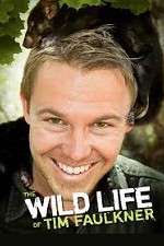 Watch The Wild Life of Tim Faulkner 123movies