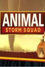 Watch Animal Storm Squad 123movies
