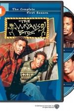 Watch The Wayans Bros 123movies