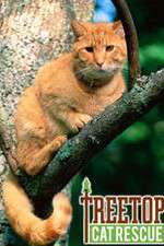Watch Treetop Cat Rescue 123movies