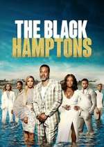 Watch Carl Weber's The Black Hamptons 123movies