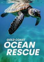 Watch Gold Coast Ocean Rescue 123movies