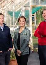 Watch Ear to the Ground 123movies