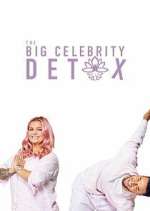 Watch The Big Celebrity Detox 123movies