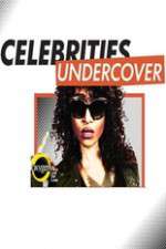 Watch Celebrities Undercover 123movies