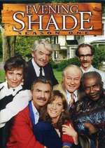 Watch Evening Shade 123movies
