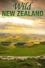 Watch Wild New Zealand 123movies